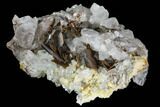 Brookite On Quartz Crystal - Baluchistan, Pakistan #111345-1